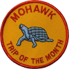 Trip of the Month Award Patch